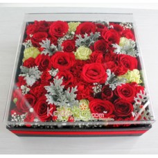 Splendeur Box: Femme